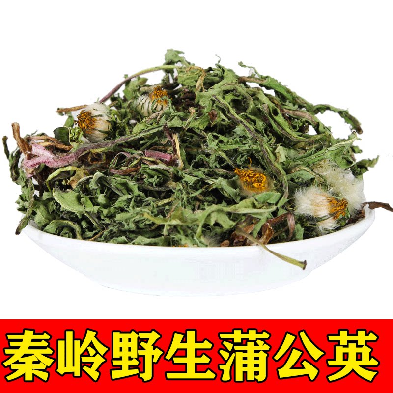 野生蒲公英2024新货名贵中药材正宗秦岭蒲公英泡水泡酒泡茶煲汤