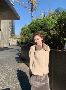 SourceWithU小乖貂 高质感环保小姆貂仿毛皮草翻领保暖短外套女冬