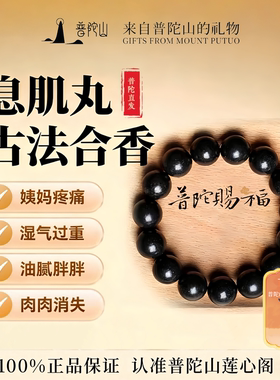 普陀山息肌丸合香珠五行手串手持情绪稳定解郁中药送女朋友的礼物