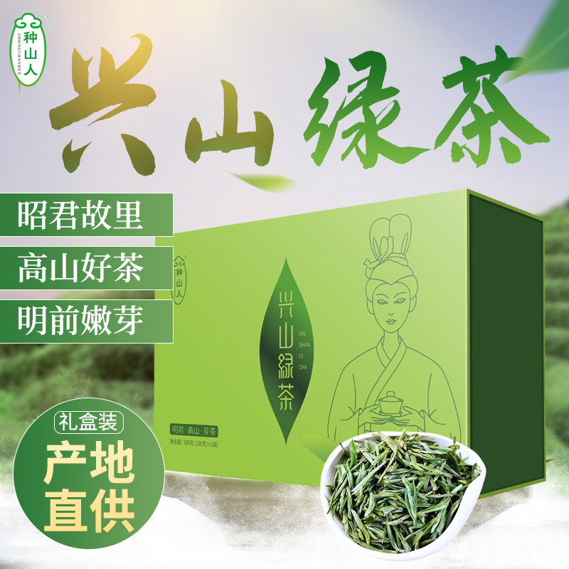2026兴山昭君巴渝特早绿茶特产蒸青型芽茶芽毛尖茶叶