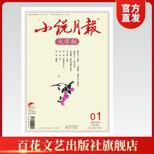 小说月报大字正版期刊