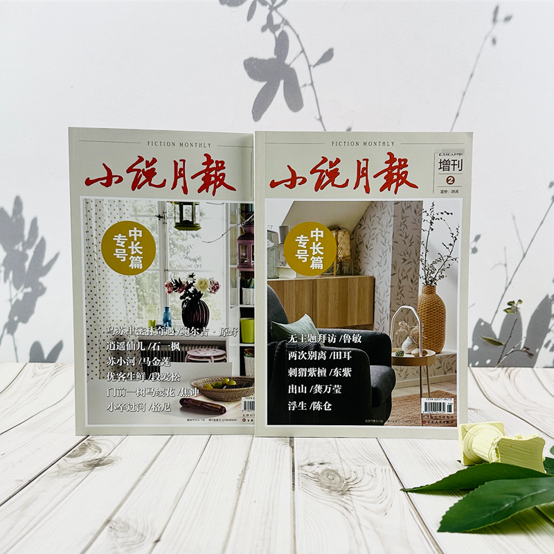 【2026年订阅】小说月报增刊中长篇专号全2册（半年刊）百花文艺出版社期刊杂志订阅小说（出刊包邮寄送）