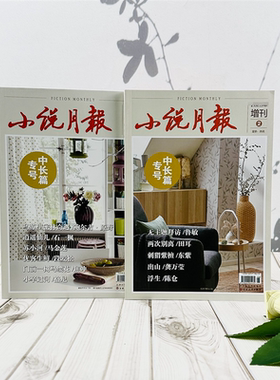 【2026年订阅】小说月报增刊中长篇专号全2册（半年刊）百花文艺出版社期刊杂志订阅小说（出刊包邮寄送）