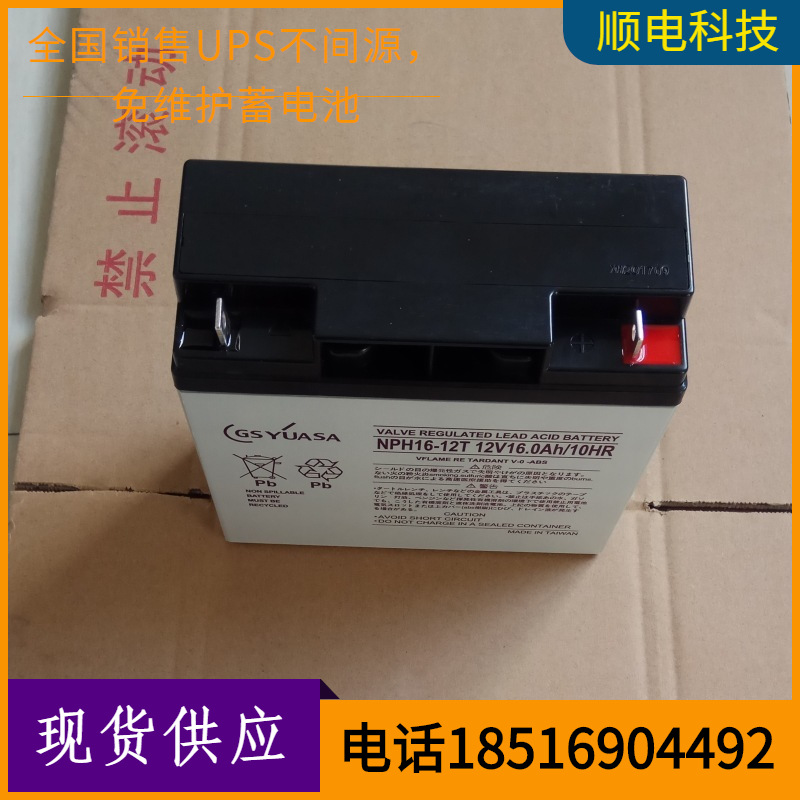 汤浅蓄电池NPH16-12T12v16AH