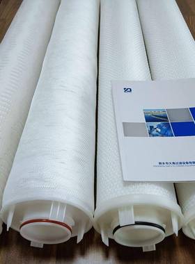 保安过滤器滤芯AHTS-MC-5大流量滤芯