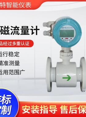 智能型电磁流量计废水泥浆液体污水流量计防腐dn50/100电磁流