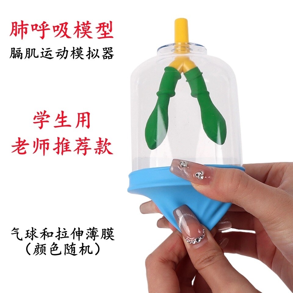 儿童益智手工科学小实验物理科技手工制作肺部呼吸模型材料6-8岁