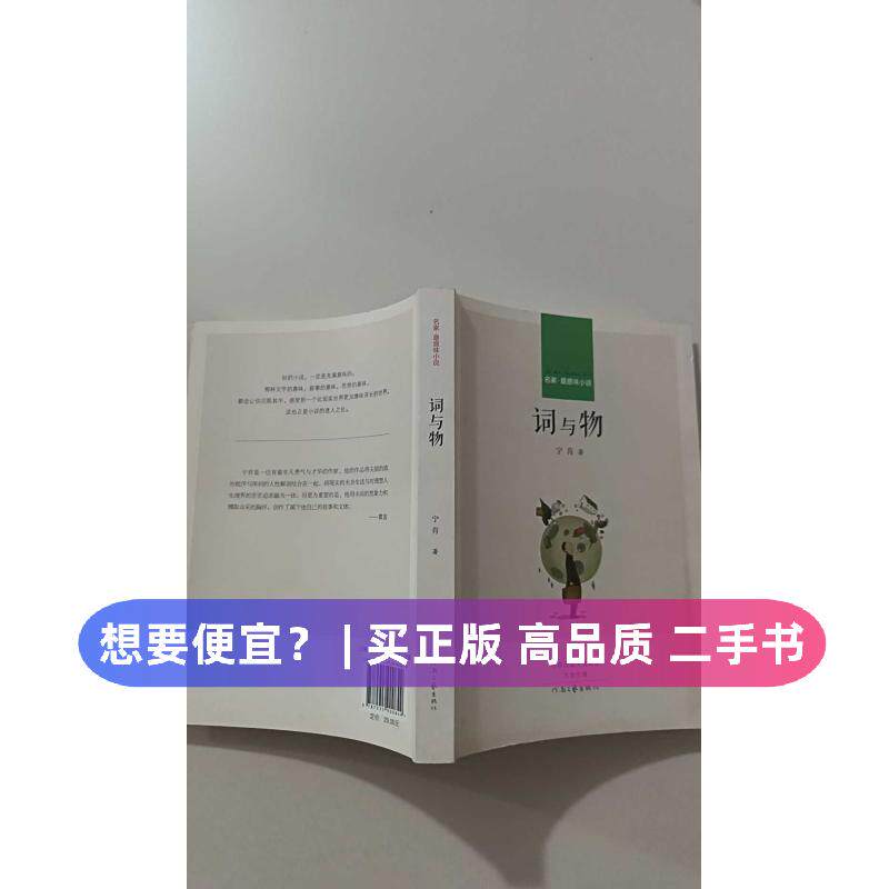 （正版7-9成新 清仓旧书）词与物/名家意味说宁肯河南文艺2014-12-01青春/都市/言情/轻小说