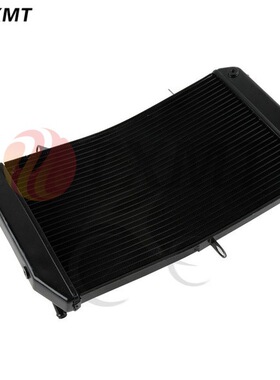 适用雅马哈 FZS1000 06-15 FAZER 1000 FZ1S FZ1N 06-12 水箱总成