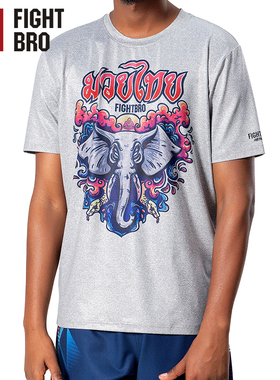 FIGHTBRO飞特氏格斗短袖男弹力速干衣训练服MMA散打博击圆领T恤