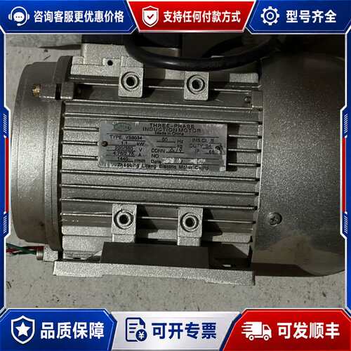议价Lifeng三相异步电机 YS8034可维修
