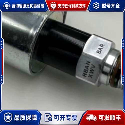 议价RBAN-XWN-224/315bar可维修