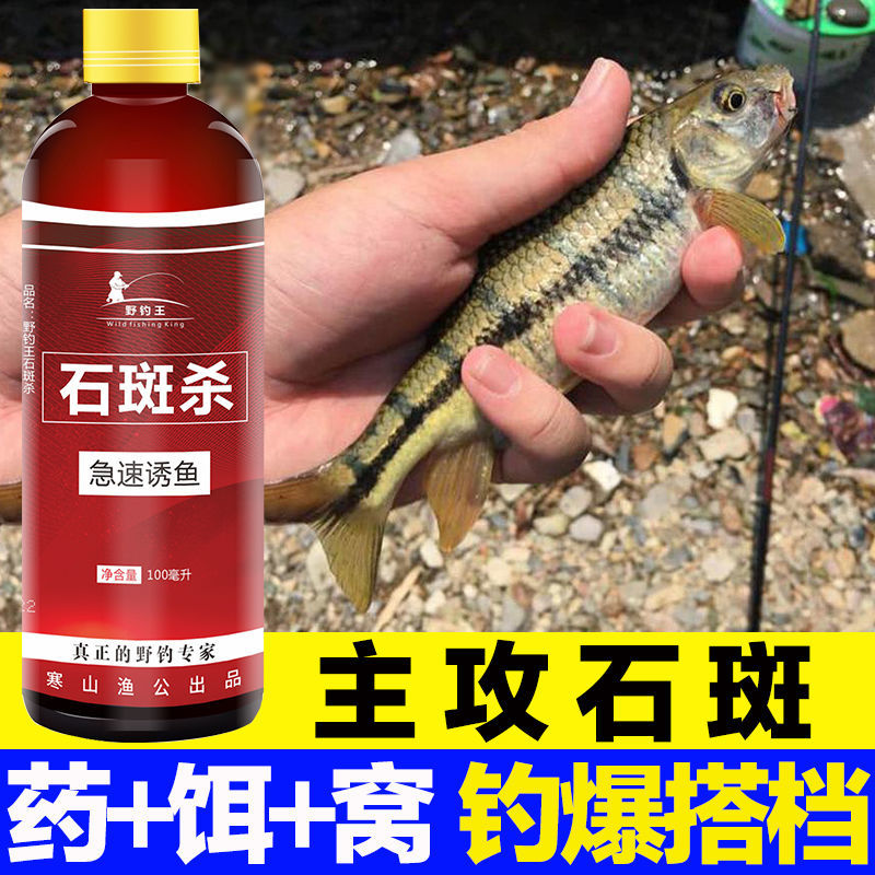 野钓溪水石斑鱼饵料小药