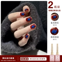 Retro Brown Red B314 + Корейский синий B315 12ML