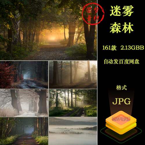原始神秘树林雾气迷雾森林阳光晨曦山脉自然风景JPG高清图片素材