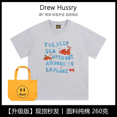 Drew小鱼印花短袖2025新款可爱小众短袖t恤款夏季情侣同款上衣ins