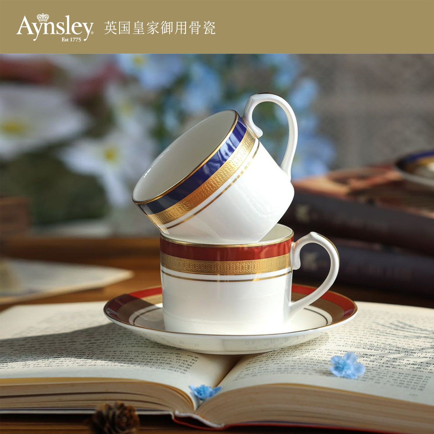 英国Aynsley安斯丽皇家英式高级感骨瓷咖啡杯套装礼盒下午茶茶具