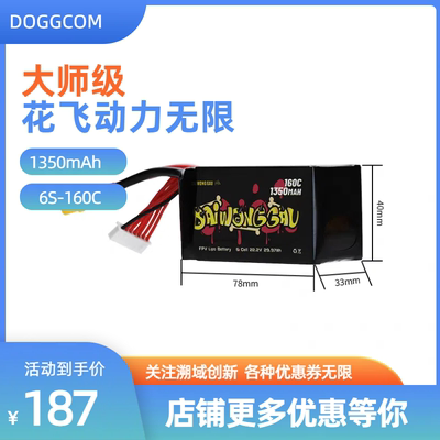 DAI WONG GAU高倍率1350mah 6S 160C暴力FPV穿越机电池