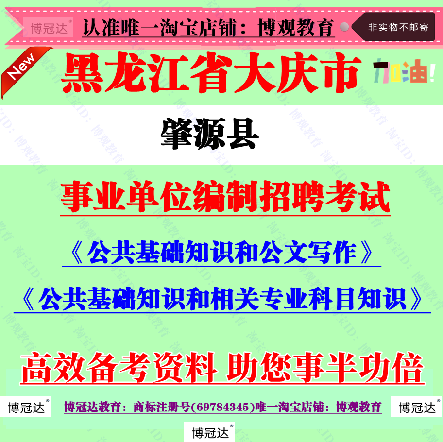 2025年大庆市肇源县事业单位招聘考试计算机会计审计相关专业知识