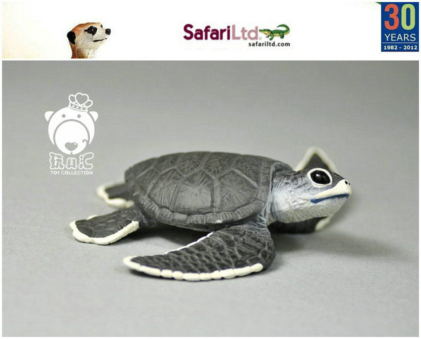 美国safari正版仿真动物模型海洋海龟宝宝幼海龟儿童