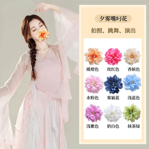 簪花引花朵古典舞嘴叼花侧边花朵