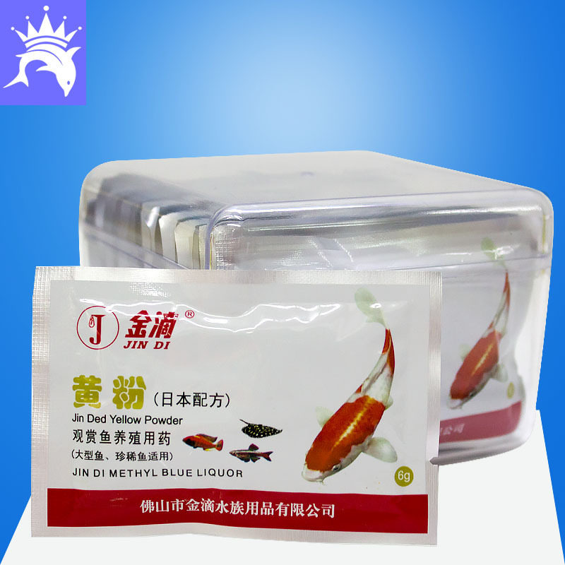金滴黄粉观赏 鱼类 腐皮 烂尾 烂腮 金滴日本黄粉