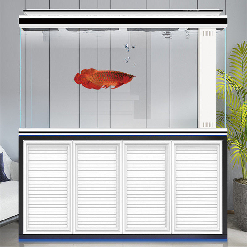 2020新款龙鱼缸 厂家直销 乐事水族箱 底部过滤a系列 超白直角缸