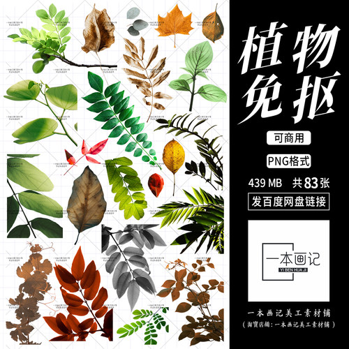 可商用免抠png素材 黄叶绿叶红叶叶子植物 独家自制 无版权纠纷ps