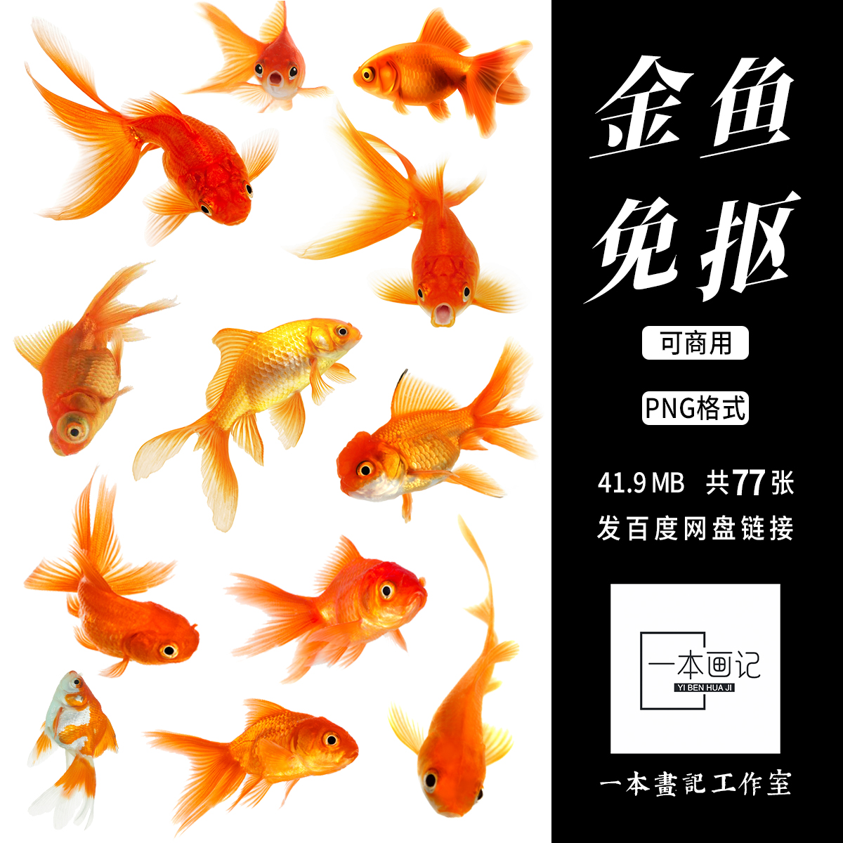 可商免抠png金鱼元素动物鱼类 美工设计合成后期ps橙光文游pv素材