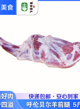内蒙古呼伦贝尔 羔羊前腿5斤新鲜整条带骨羊前腿羔羊肉烧烤食材