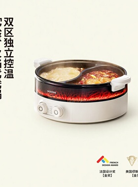 德国电火锅家用鸳鸯锅一体多功能