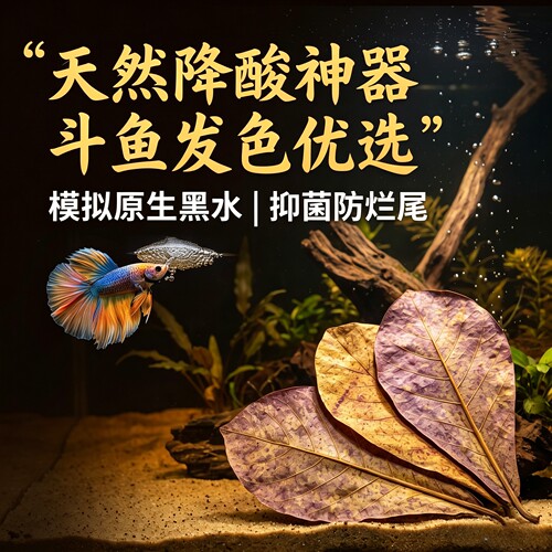 买2送1鱼缸降酸紫色叶子好美