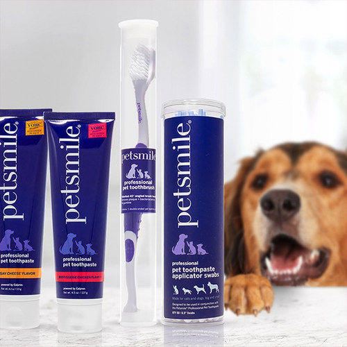 美国Petsmile可食用去除牙结石