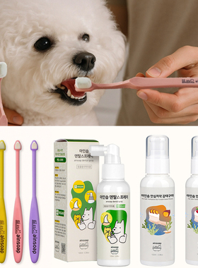 韩国代购ainsoap宠物牙刷猫咪狗狗超纤细柔软毛刷细节刷口腔护理