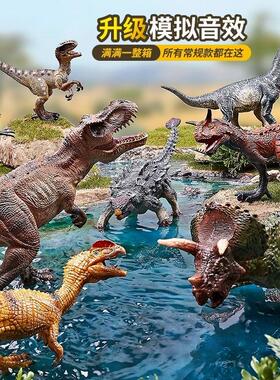 Children's Dinosaur Toy Tyrannosaurus rex Set儿童恐龙玩具