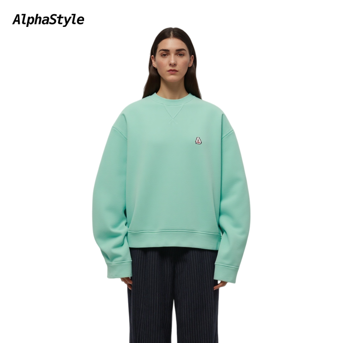 Alphastyle秋冬经典套头卫衣圆领