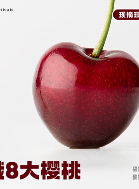 纯甜的标准“车厘子范儿”俄8大樱桃｜大连海林 露天车厘子大果