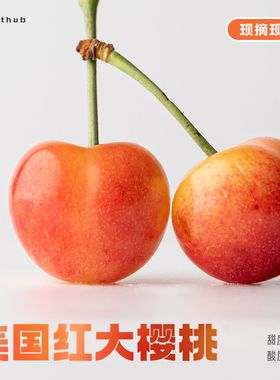 略软多肉型、低酸高甜的黄色樱桃品种｜大连海林 露天车厘子大果