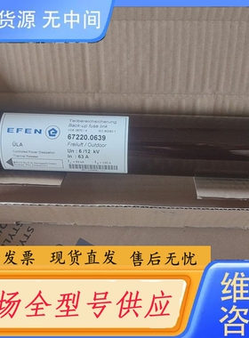 要询价-EFEN埃芬高压熔断器 back-up 67220-0639
