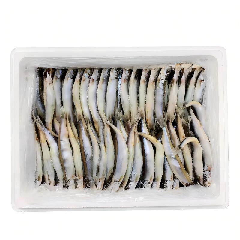 6L多春鱼满籽新鲜商用海鱼多籽鱼