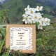 Gardenia Kadhak™ Soap ｜Yak Milk 牦牛奶栀子花皂 手工皂天然