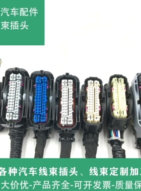 东南DX3 DX7 V6菱仕 V5菱致ABS泵插头 ABS泵线束插头原装拆车