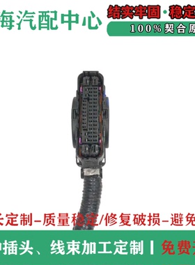 博世新款本田ABS泵插头1928405782防水接插件46孔46P46针别克哈弗