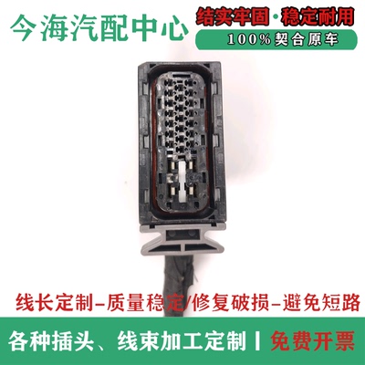 适配猎豹汽车Mattu CS10 CS9 Q6 6481 CS6 CS7 DUV CT5 ABS泵插头
