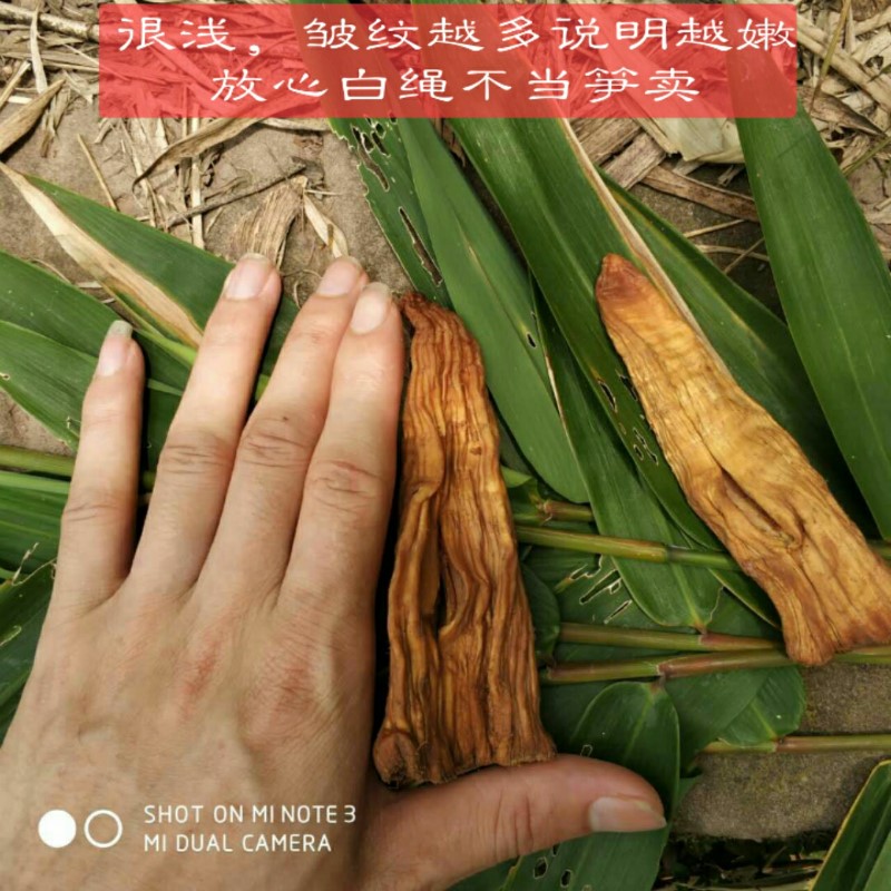 干笋子竹笋四川特产农家烟笋烟燻笋竹笋贵州赤水筒筒笋特产小方竹