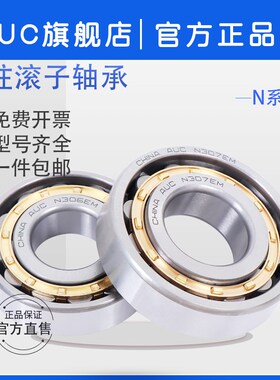 圆柱滚子轴承N315 N316 N317 318 319 320 321 322 324 326 328EM