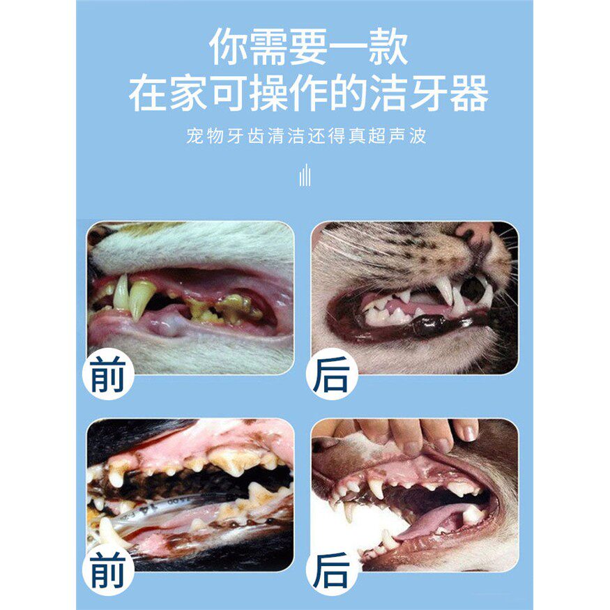 狗狗牙结石去除器工具套装猫咪宠物超音波洗牙机器牙齿清洁仪神器