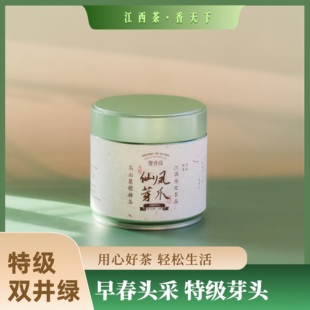 2025年明前头春头采双井绿高端芽头银毫精品江西九江修水送礼自饮