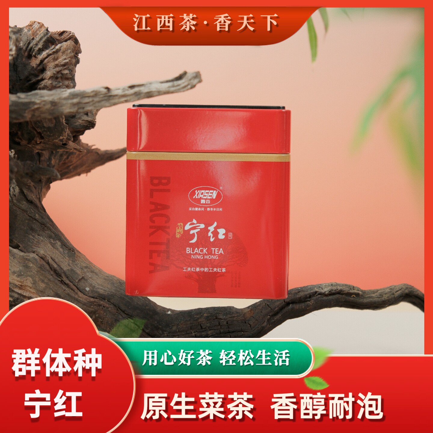 高山群体种修水宁红香甜耐泡