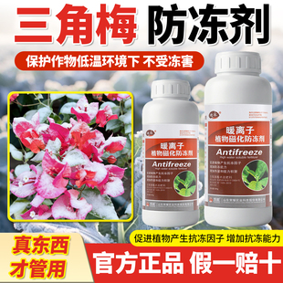 三角梅防冻剂冬天植物防冻剂防寒花卉保暖保温罩过冬神器防冻液药